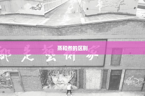 蒸和煮的区别