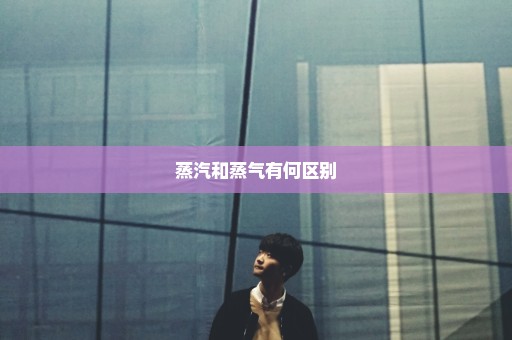 蒸汽和蒸气有何区别