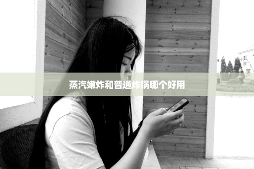 蒸汽嫩炸和普通炸锅哪个好用