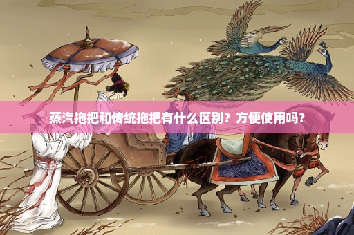 蒸汽拖把和传统拖把有什么区别？方便使用吗？