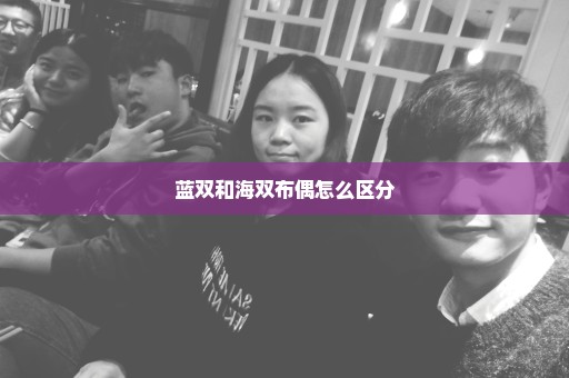 蓝双和海双布偶怎么区分