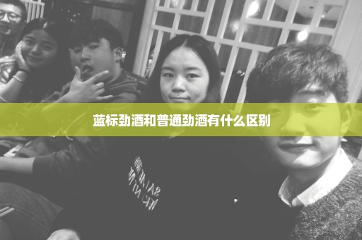 蓝标劲酒和普通劲酒有什么区别
