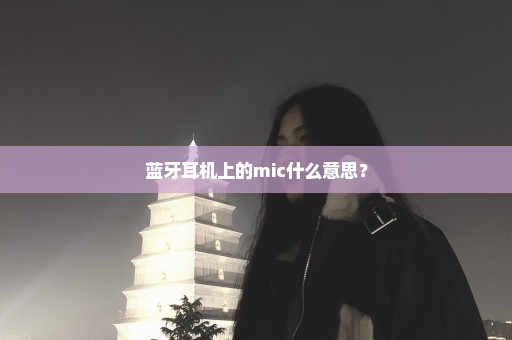 蓝牙耳机上的mic什么意思？