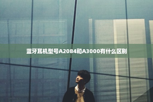 蓝牙耳机型号A2084和A3000有什么区别