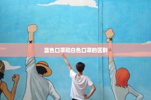 蓝色口罩和白色口罩的区别