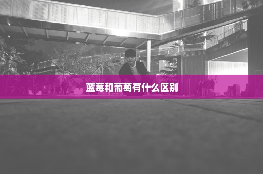 蓝莓和葡萄有什么区别