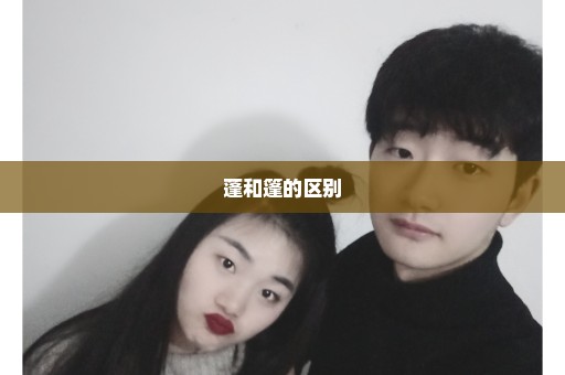 蓬和篷的区别