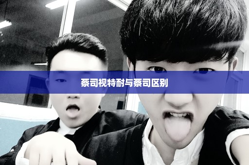 蔡司视特耐与蔡司区别