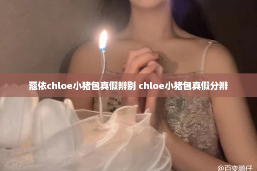 蔻依chloe小猪包真假辨别 chloe小猪包真假分辨