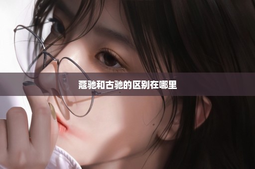 蔻驰和古驰的区别在哪里