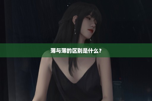 薄与薄的区别是什么？