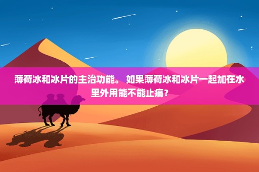 薄荷冰和冰片的主治功能。 如果薄荷冰和冰片一起加在水里外用能不能止痛？