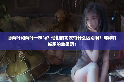 薄荷叶和荷叶一样吗？他们的功效有什么区别啊？哪种有减肥的效果啊？
