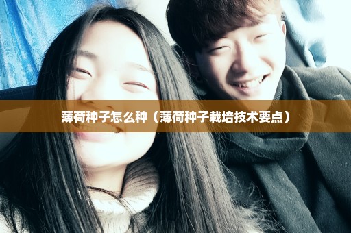 薄荷种子怎么种（薄荷种子栽培技术要点）