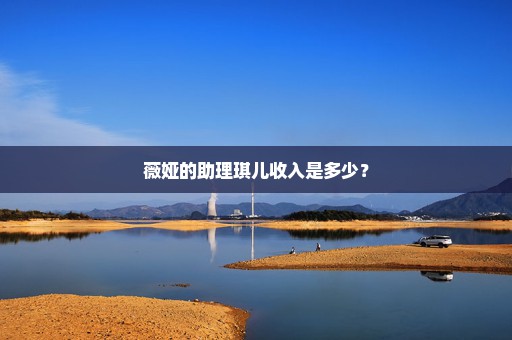 薇娅的助理琪儿收入是多少？
