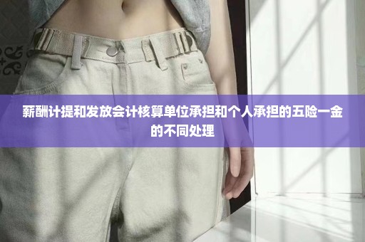 薪酬计提和发放会计核算单位承担和个人承担的五险一金的不同处理