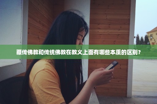 藏传佛教和传统佛教在教义上面有哪些本质的区别？