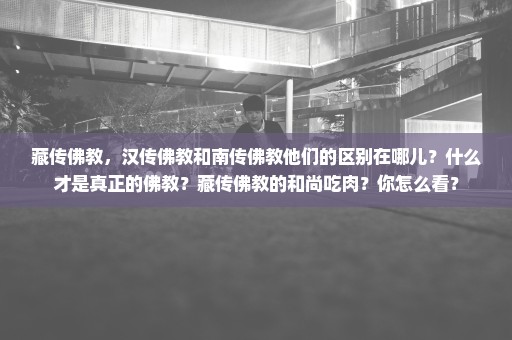 藏传佛教，汉传佛教和南传佛教他们的区别在哪儿？什么才是真正的佛教？藏传佛教的和尚吃肉？你怎么看？