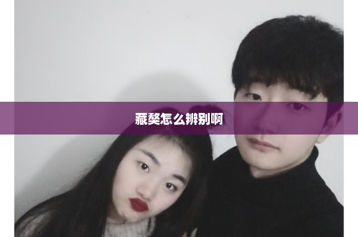 藏獒怎么辨别啊
