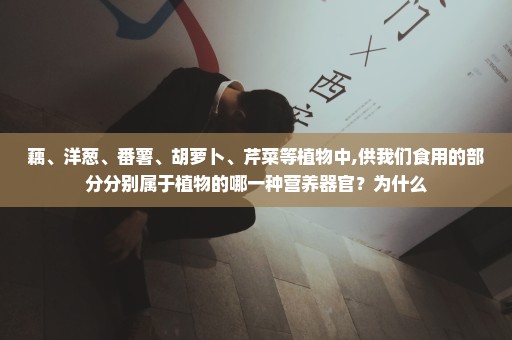 藕、洋葱、番薯、胡萝卜、芹菜等植物中,供我们食用的部分分别属于植物的哪一种营养器官？为什么