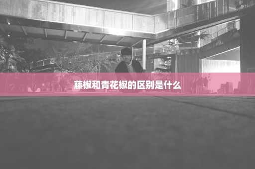 藤椒和青花椒的区别是什么