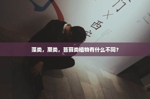 藻类，蕨类，苔藓类植物有什么不同？