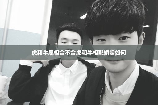 虎和牛属相合不合虎和牛相配婚姻如何