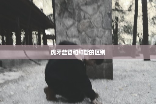 虎牙蓝管和红管的区别