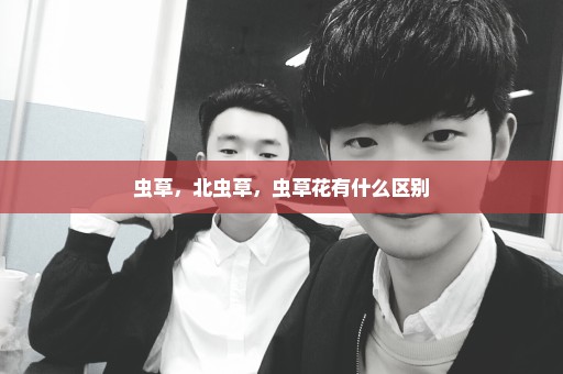 虫草，北虫草，虫草花有什么区别