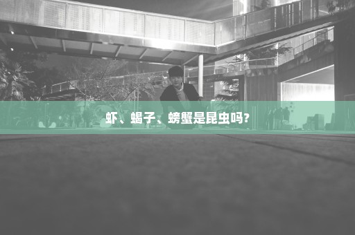 虾、蝎子、螃蟹是昆虫吗？