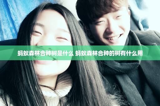 蚂蚁森林合种树是什么 蚂蚁森林合种的树有什么用