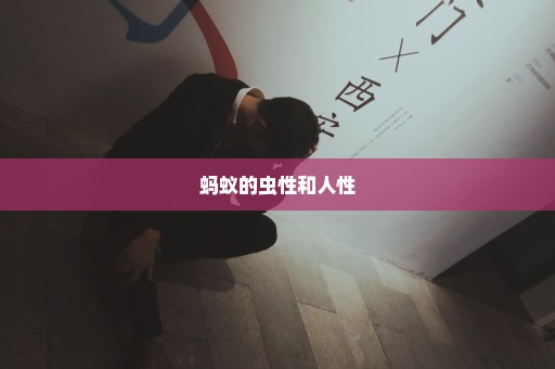 蚂蚁的虫性和人性