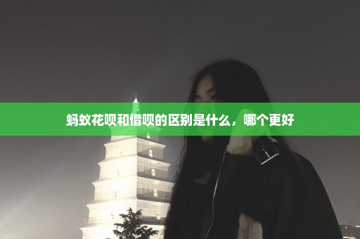 蚂蚁花呗和借呗的区别是什么，哪个更好