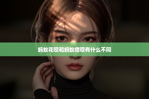蚂蚁花呗和蚂蚁借呗有什么不同