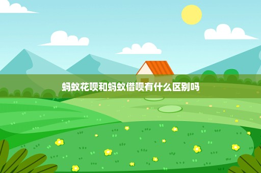 蚂蚁花呗和蚂蚁借呗有什么区别吗