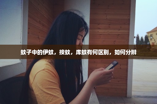 蚊子中的伊蚊，按蚊，库蚊有何区别，如何分辨