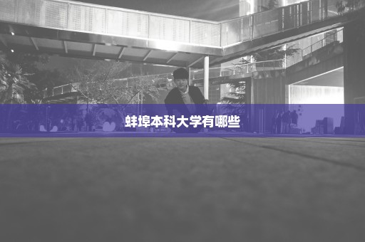 蚌埠本科大学有哪些