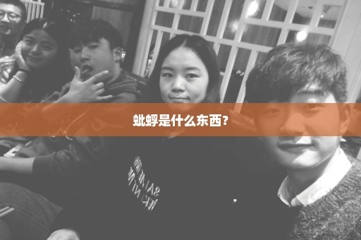 蚍蜉是什么东西？