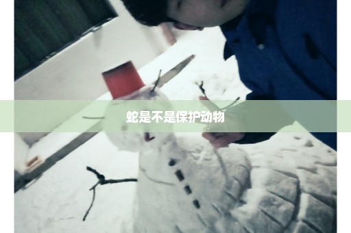 蛇是不是保护动物