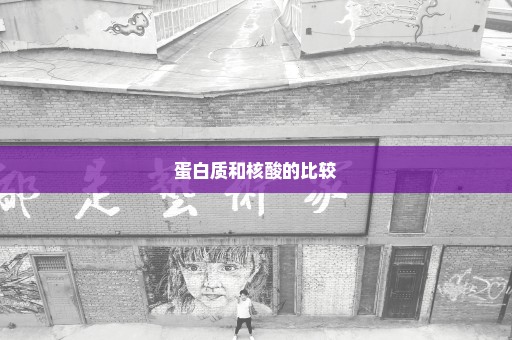 蛋白质和核酸的比较