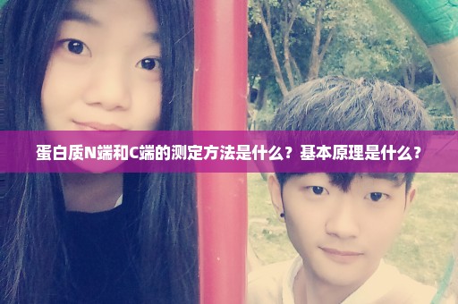 蛋白质N端和C端的测定方法是什么？基本原理是什么？