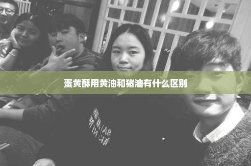 蛋黄酥用黄油和猪油有什么区别