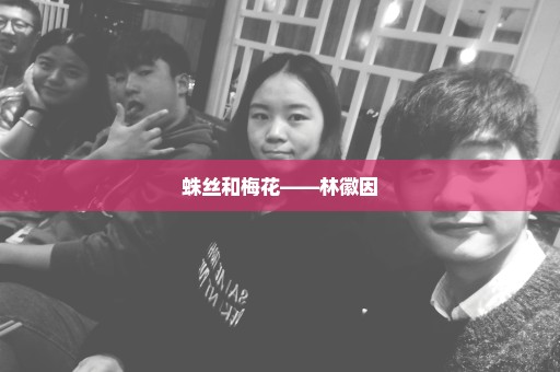 蛛丝和梅花——林徽因