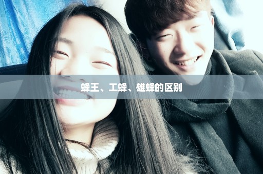 蜂王、工蜂、雄蜂的区别