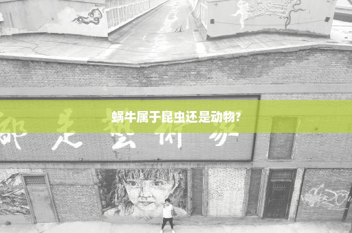 蜗牛属于昆虫还是动物?