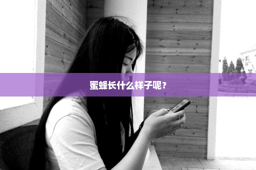 蜜蜂长什么样子呢？