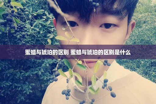 蜜蜡与琥珀的区别 蜜蜡与琥珀的区别是什么