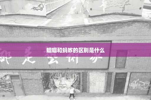蝈蝈和蚂蚱的区别是什么