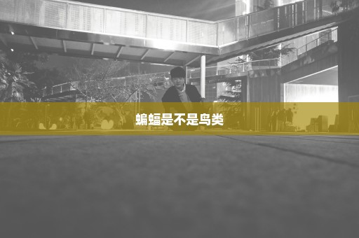 蝙蝠是不是鸟类