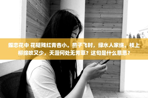 蝶恋花中 花褪残红青杏小。燕子飞时，绿水人家绕。枝上柳绵吹又少，天涯何处无芳草？这句是什么意思？